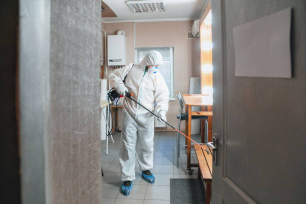 Best Emergency Mold Remediation  in Angola, IN