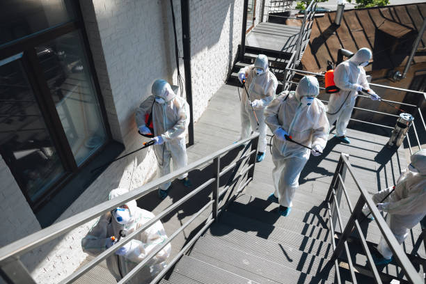 Best Crawl Space Mold Remediation  in Angola, IN