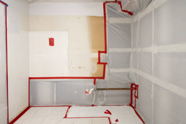 Best Asbestos and Lead Testing During Mold Inspection  in Angola, IN