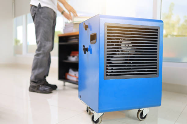Best Biohazard Mold Removal  in Angola, IN