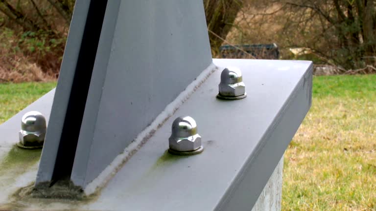 Best Environmental Consulting for Mold Prevention  in Angola, IN