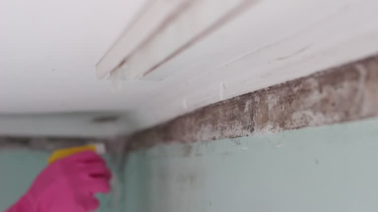 Best Post-Remediation Verification Testing  in Angola, IN